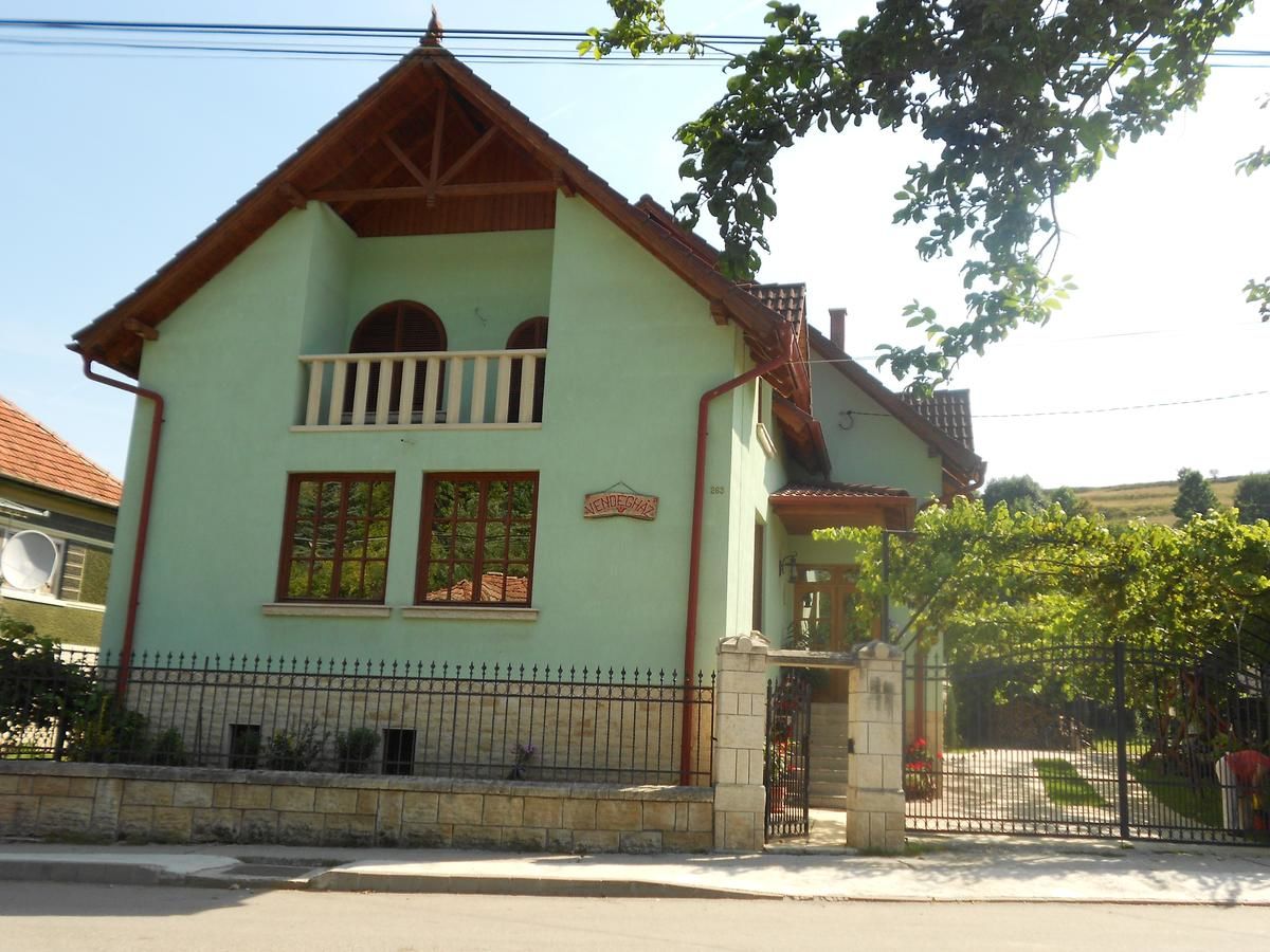 Гостевой дом Tünde Vendégház Viştea-4
