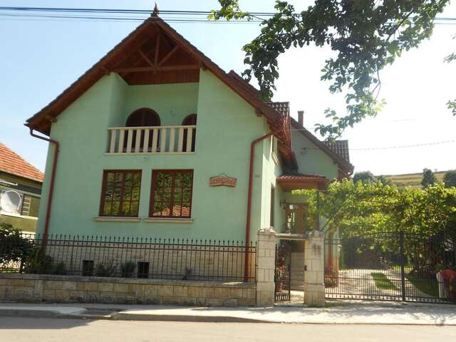 Гостевой дом Tünde Vendégház Viştea-3